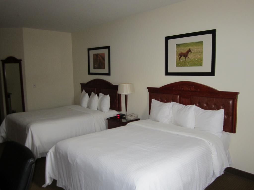 Trend Mountain Hotel & Conference Centre Tumbler Ridge Номер фото