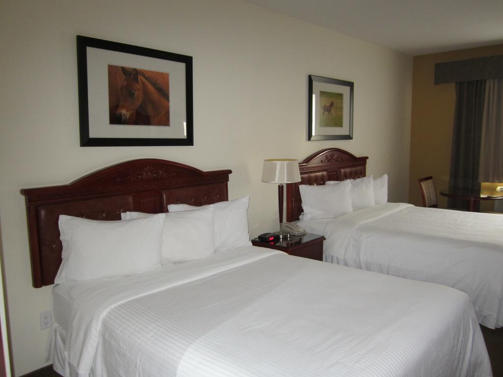 Trend Mountain Hotel & Conference Centre Tumbler Ridge Номер фото
